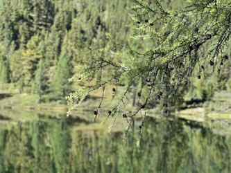 Similar image 21292199