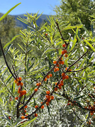 Similar image 21292214