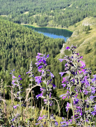 Similar image 21292219