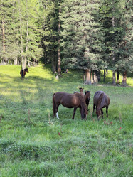 Similar image 21292225