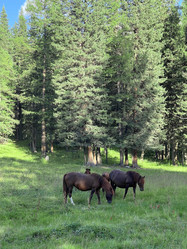 Similar image 21292266