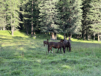 Similar image 21292268