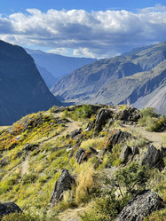 Similar image 21292271