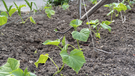 Similar image 21263127