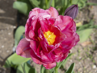 Similar image 21263130