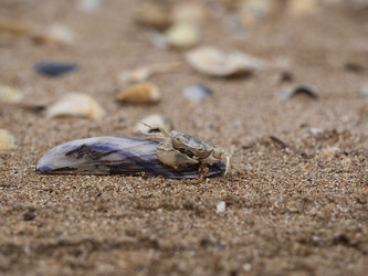 Similar image 21263131