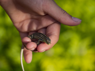 Similar image 21263133