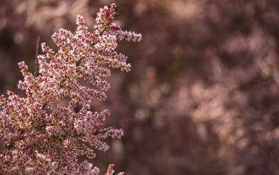 Similar image 21263139