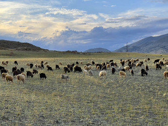 Similar image 21280384