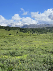 Similar image 21280405