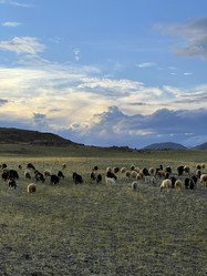 Similar image 21280406