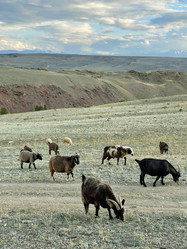 Similar image 21280412