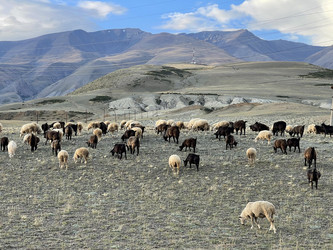 Similar image 21280415