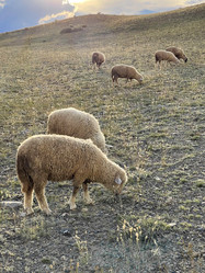 Similar image 21280422