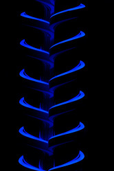 Similar image 21261148