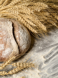 Similar image 21262391