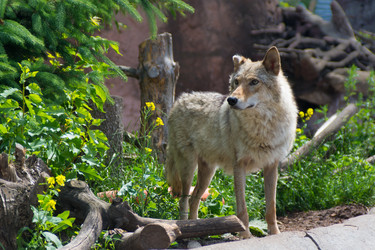 Similar image 21261156