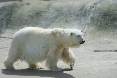 Similar image 21261157