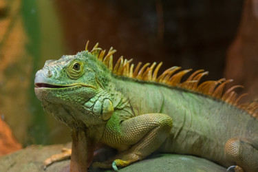 Similar image 21261158