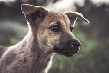 Similar image 21261159