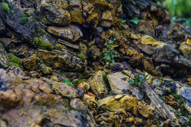 Similar image 21261161