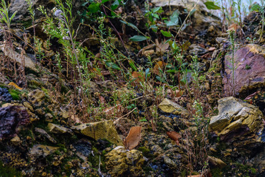 Similar image 21261162