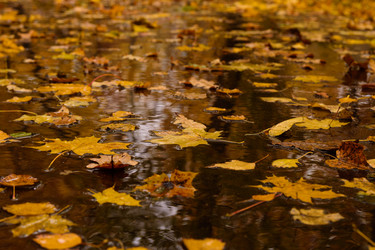 Similar image 21261168