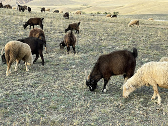 Similar image 21292276