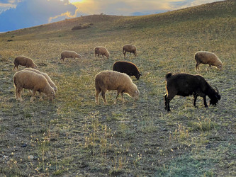 Similar image 21292279