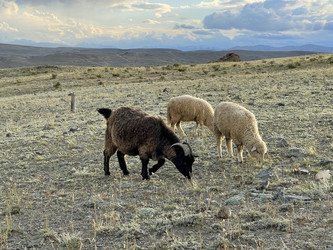 Similar image 21292283