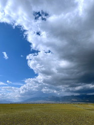 Similar image 21292299