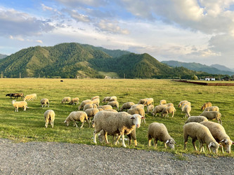 Similar image 21280430