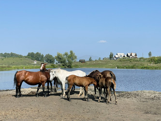 Similar image 21280474