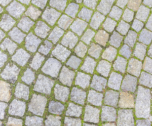 Similar image 21282773