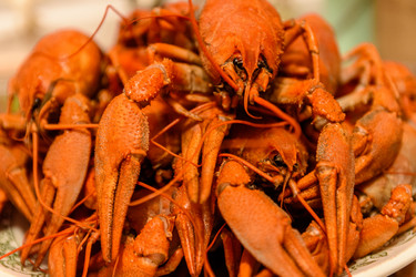 Similar image 21261207