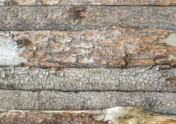 Similar image 21283389