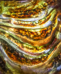 Similar image 21283395