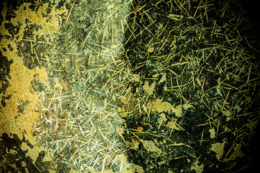 Similar image 21279498