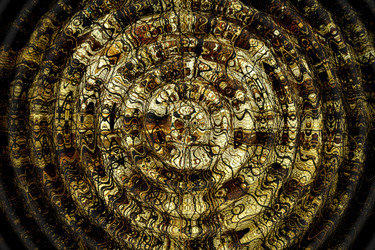 Similar image 21279499