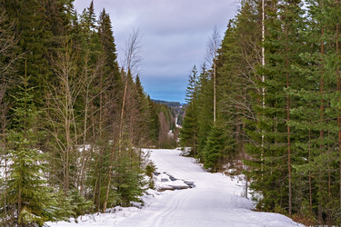 Similar image 21274238