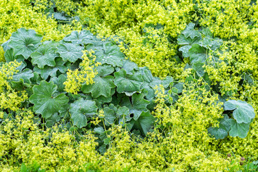 Similar image 21274241