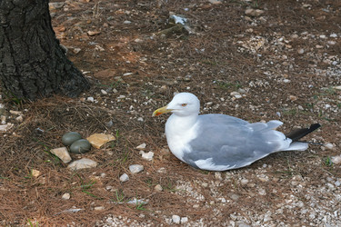 Similar image 21274260