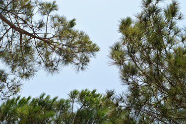 Similar image 21274265