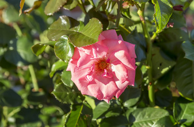 Similar image 21283132