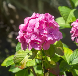 Similar image 21283134