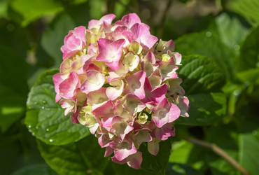 Similar image 21283135