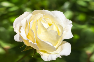 Similar image 21283136