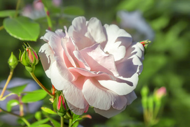 Similar image 21283137