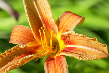 Similar image 21283139