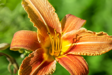 Similar image 21283140